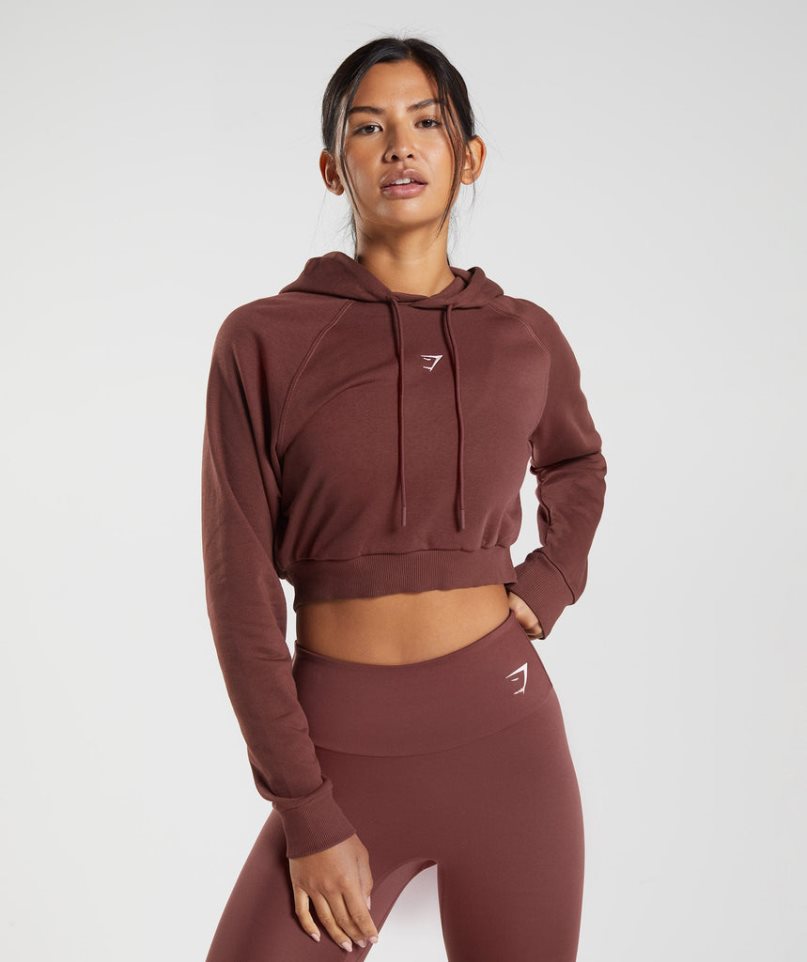 Women\'s Gymshark Training Cropped Hoodie Dark Brown | CA 0N137A